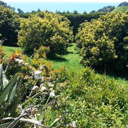 Ridgehaven Accommodation Opotiki Zewnętrze zdjęcie